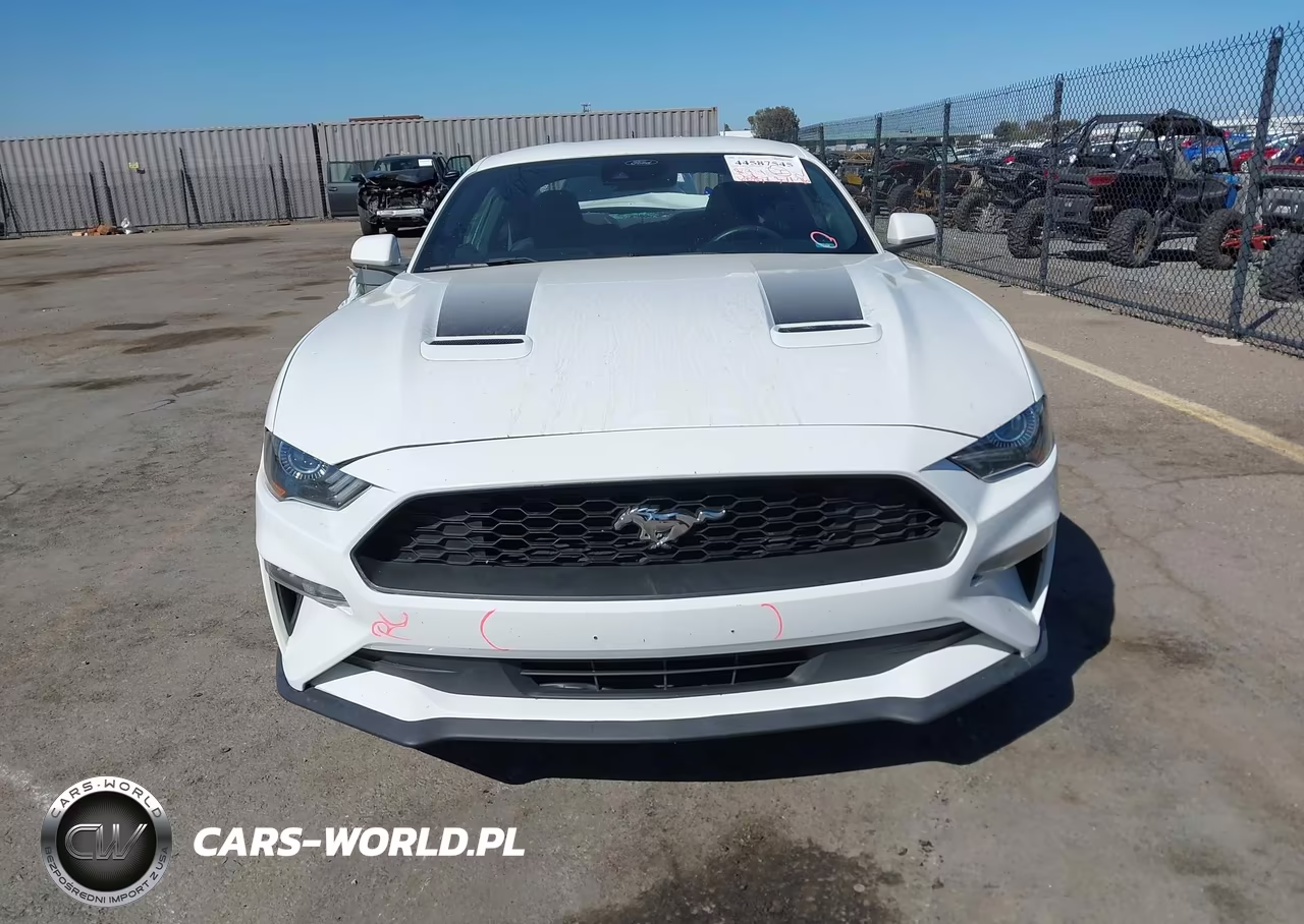 2021 Ford Mustang Ecoboost Fastback VIN:1FA6P8TH7M5152085 - 12
