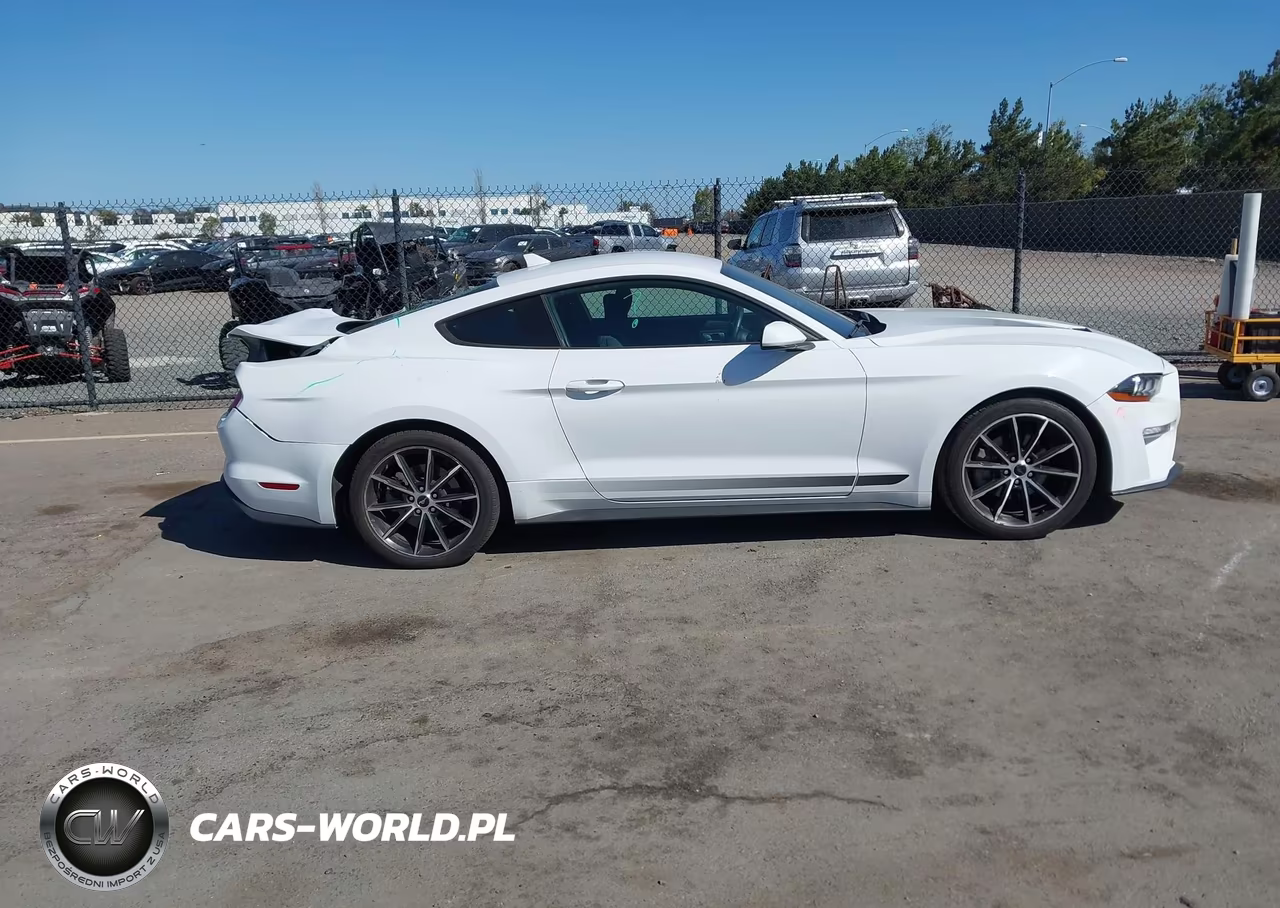 2021 Ford Mustang Ecoboost Fastback VIN:1FA6P8TH7M5152085 - 13