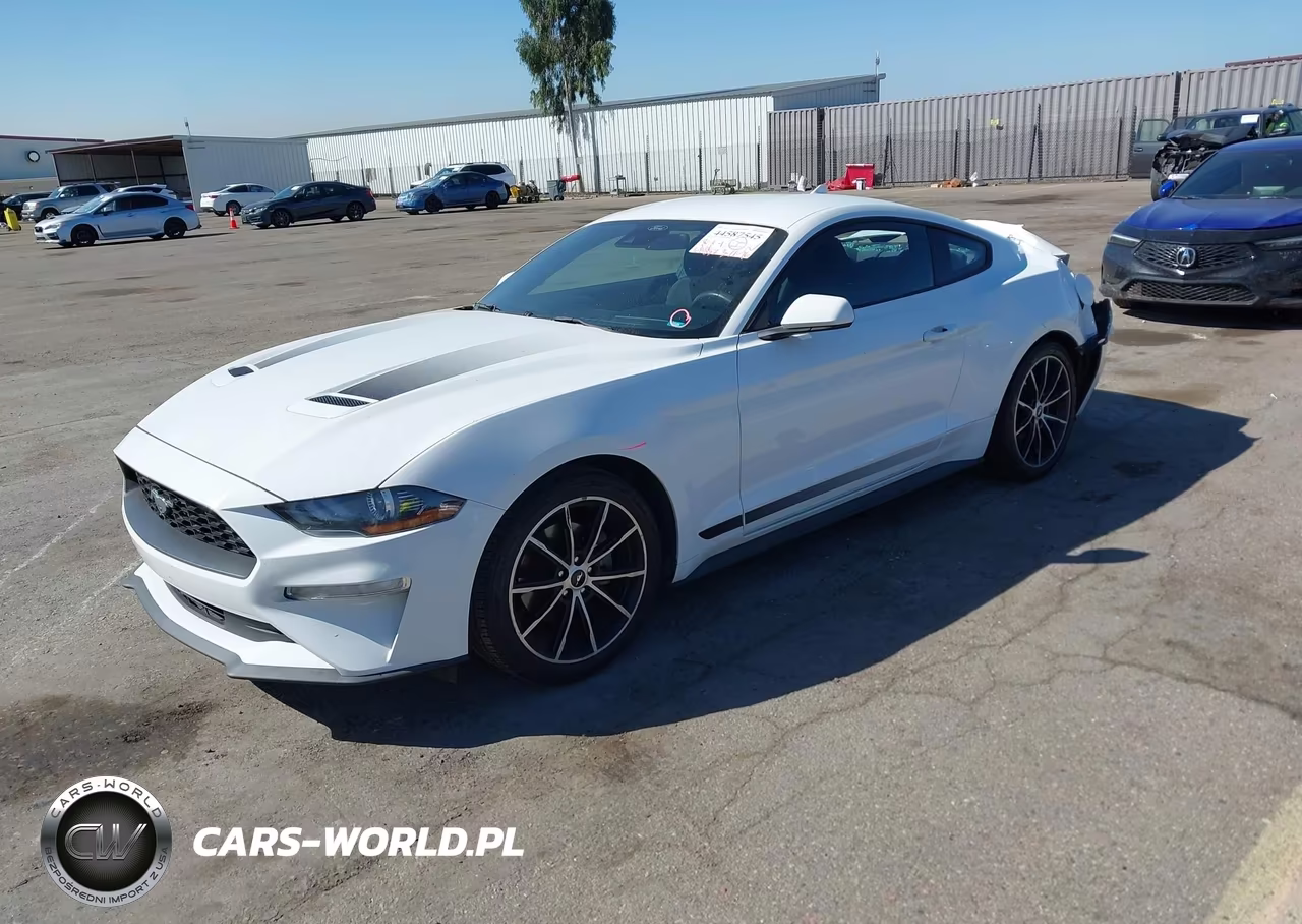 2021 Ford Mustang Ecoboost Fastback VIN:1FA6P8TH7M5152085 - 2