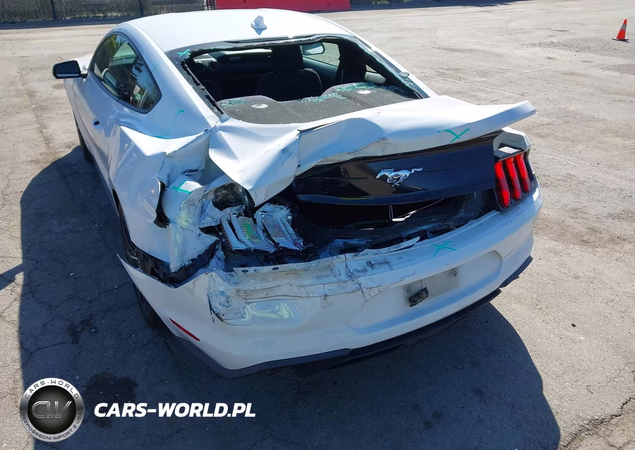 2021 Ford Mustang Ecoboost Fastback VIN:1FA6P8TH7M5152085 - 6
