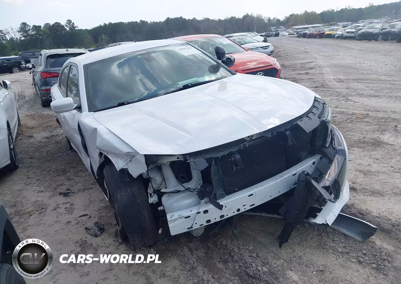 2020 Dodge Charger Police Awd
