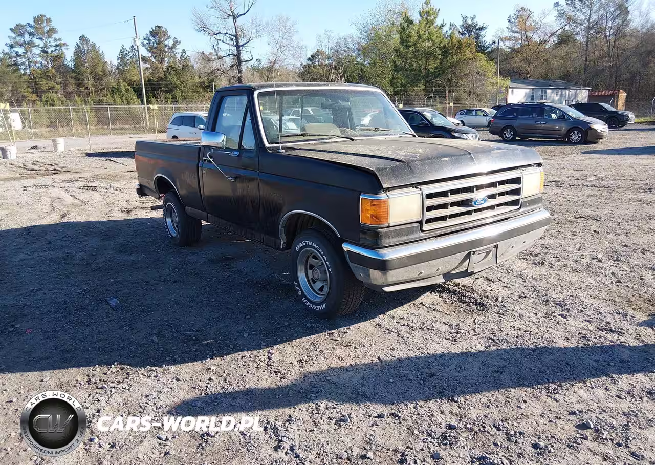 1989 Ford F150