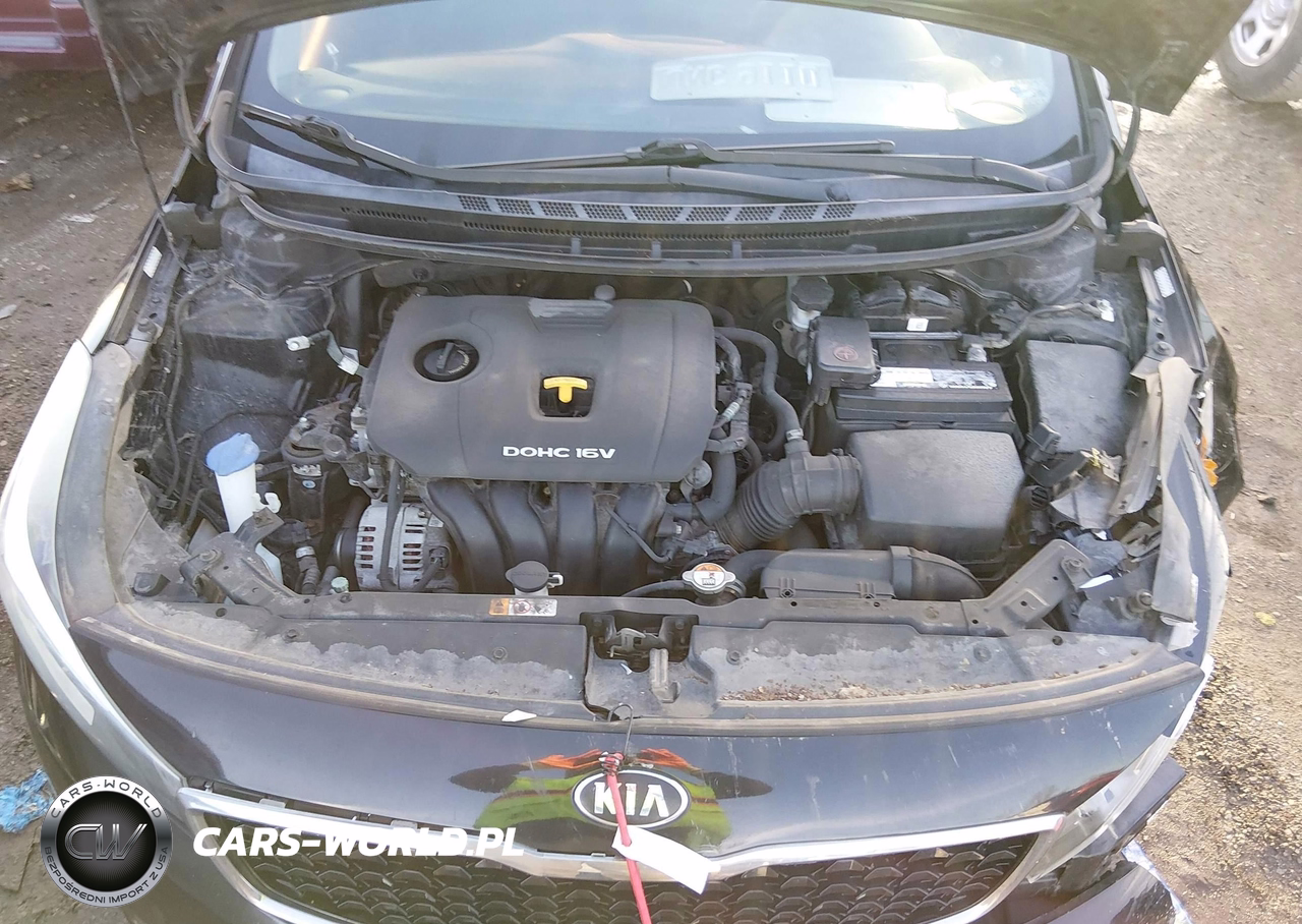 2017 Kia Forte Lx VIN:3KPFK4A77HE052607 - 10