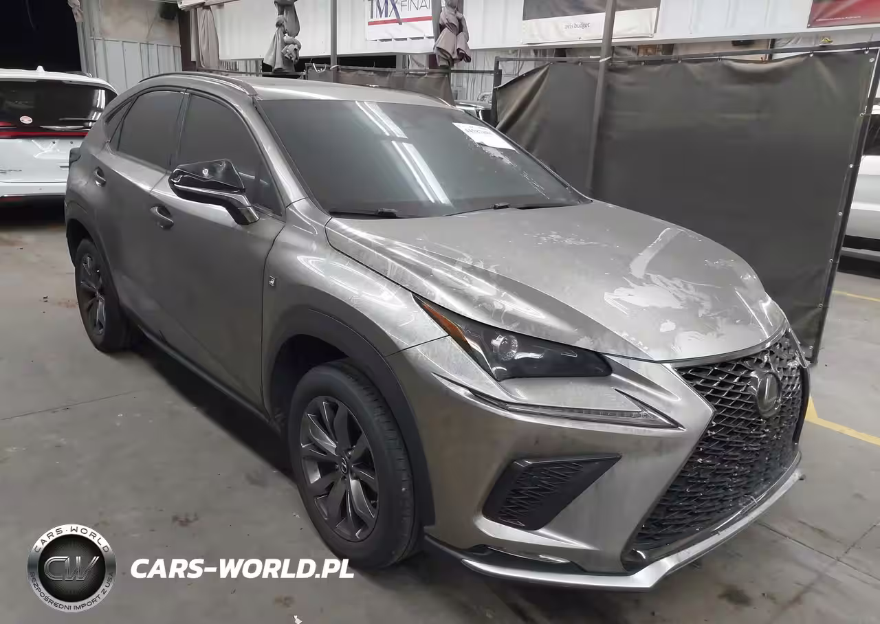 2019 Lexus Nx 300 F Sport