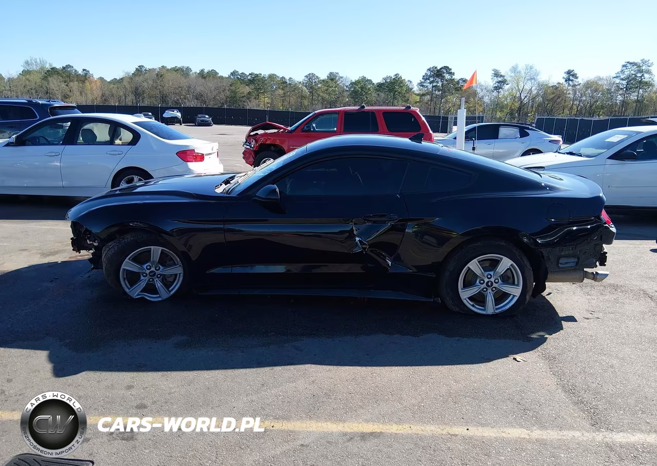 2020 Ford Mustang Ecoboost Fastback VIN:1FA6P8TH2L5149285 - 13