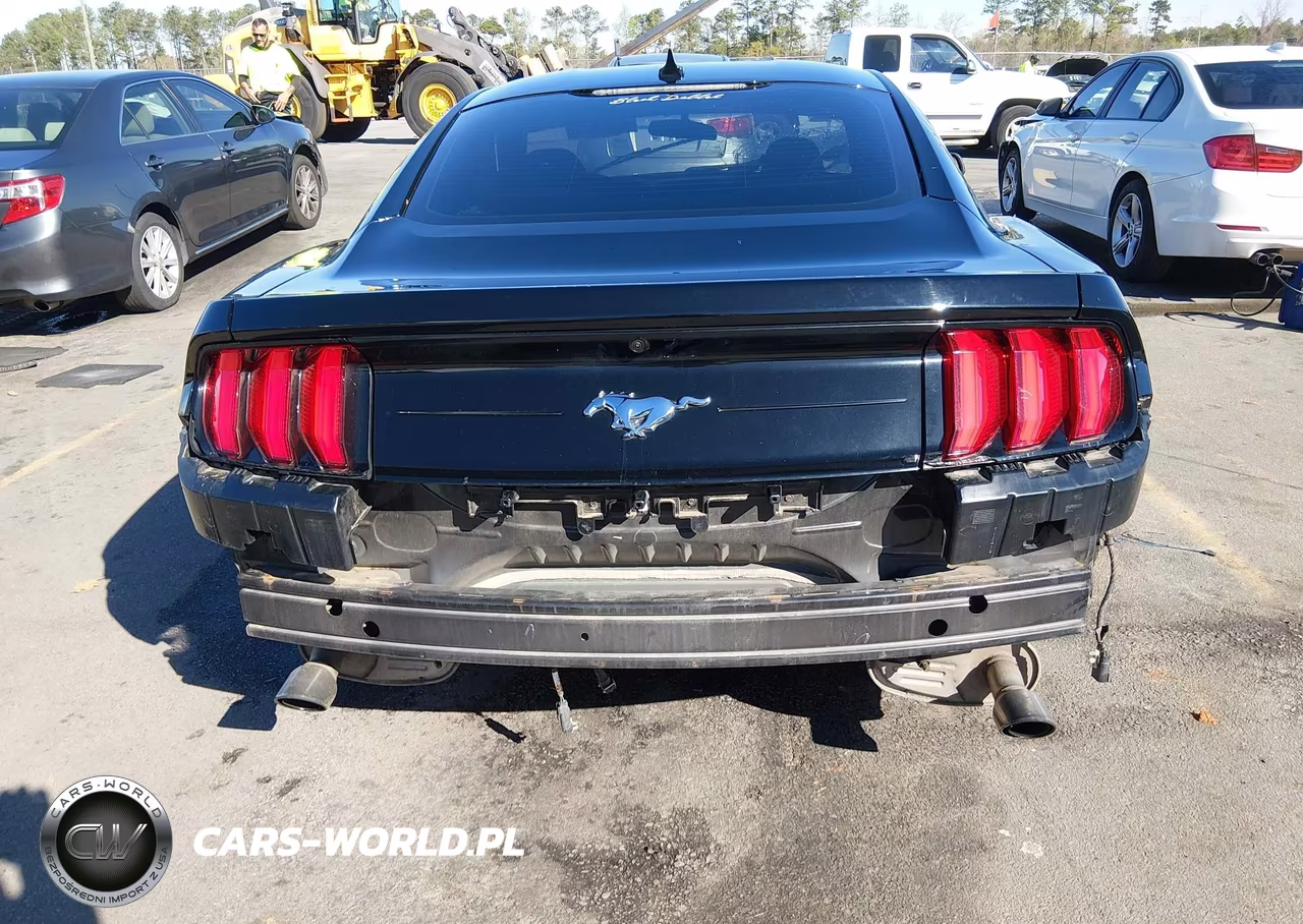 2020 Ford Mustang Ecoboost Fastback VIN:1FA6P8TH2L5149285 - 15