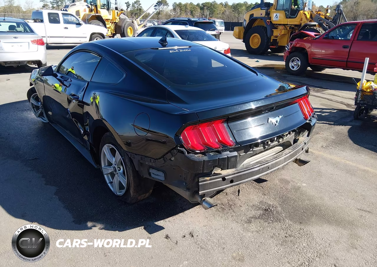 2020 Ford Mustang Ecoboost Fastback VIN:1FA6P8TH2L5149285 - 3
