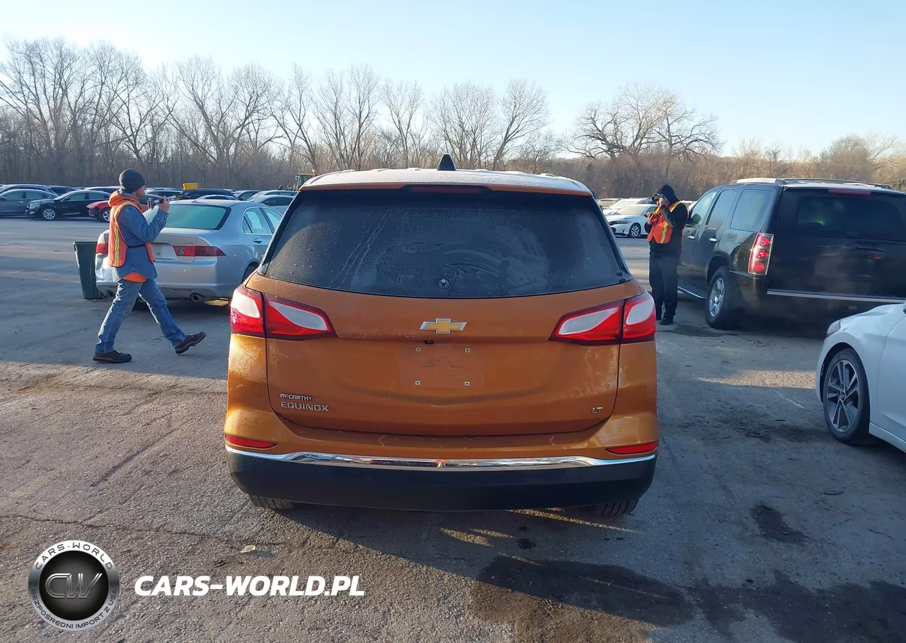 2018 Chevrolet Equinox Lt VIN:2GNAXJEV0J6221768 - 17