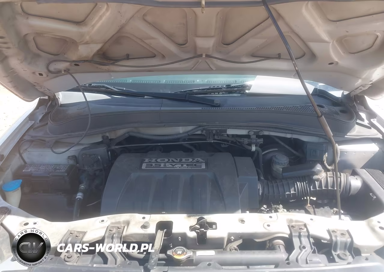 2006 Honda Pilot Lx VIN:5FNYF28136B000109 - 10