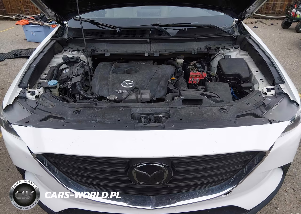 2019 Mazda Cx-9 Touring VIN:JM3TCACY1K0306467 - 10