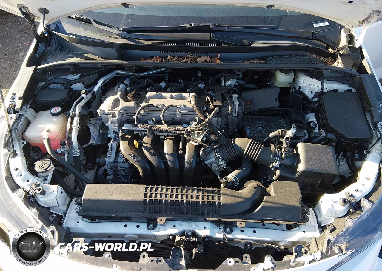 2020 Toyota Corolla Le VIN:JTDEPRAE5LJ063383 - 10