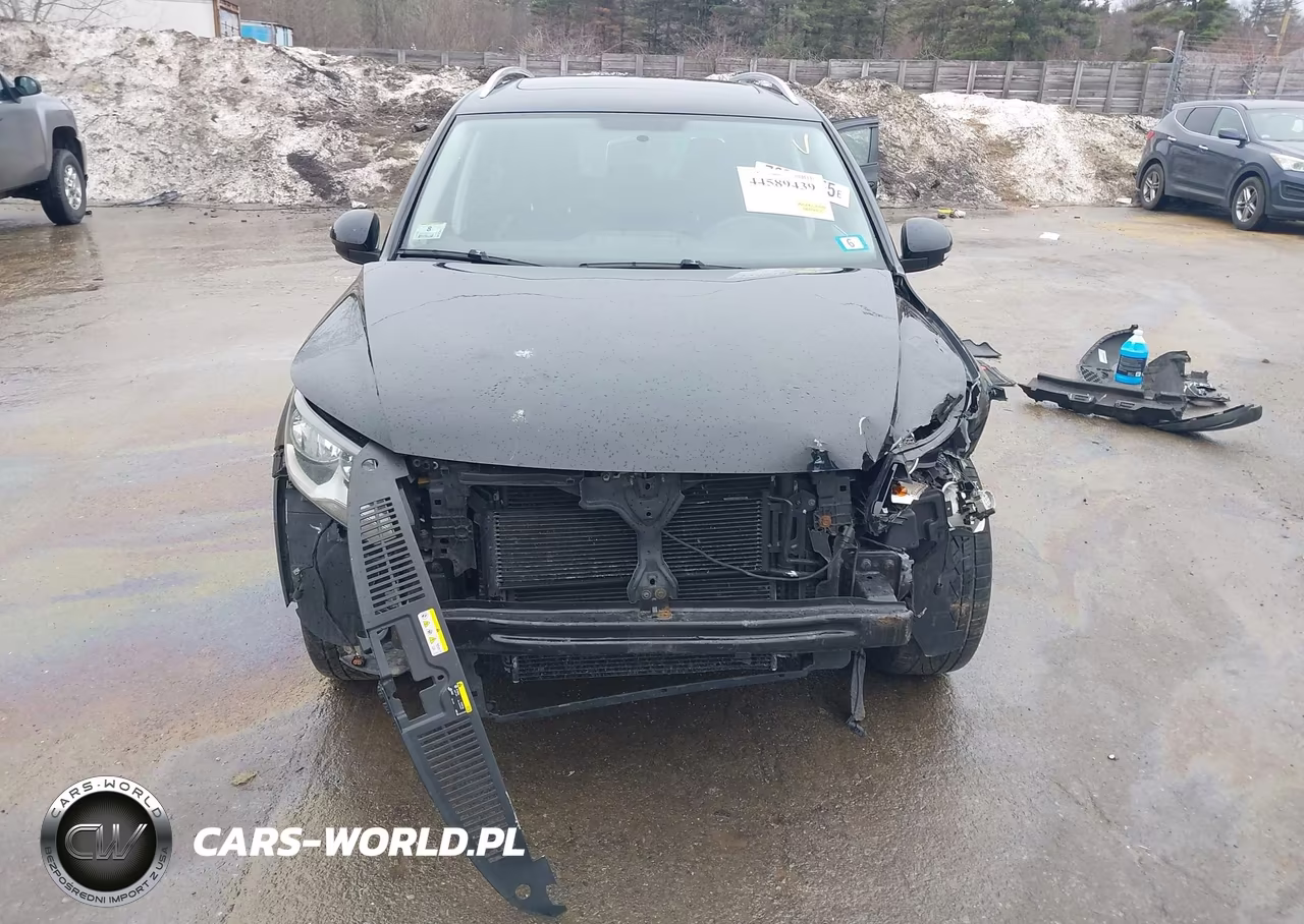 2014 Volkswagen Tiguan Sel VIN:WVGBV3AX8EW611336 - 12