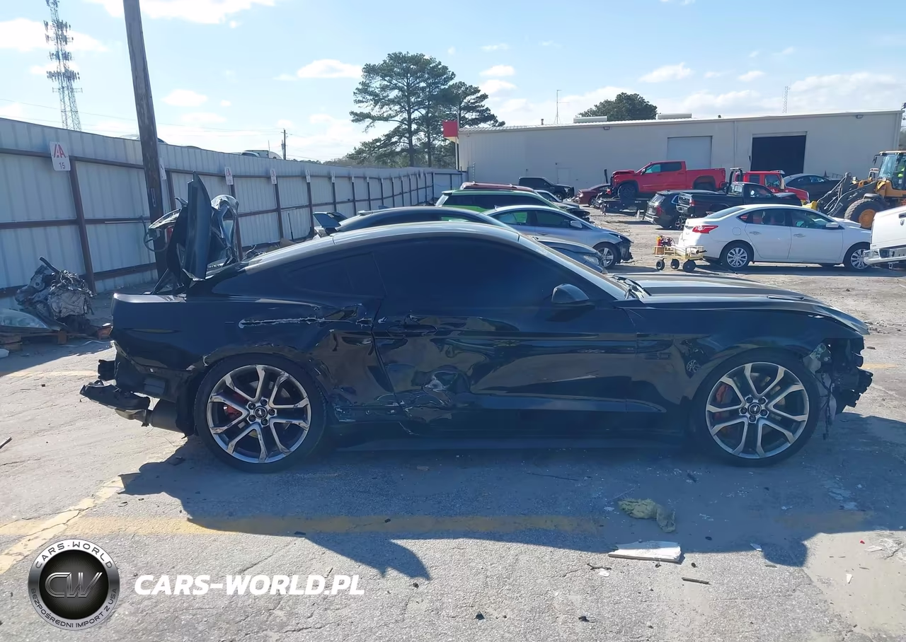 2017 Ford Mustang Gt VIN:1FA6P8CFXH5319527 - 13