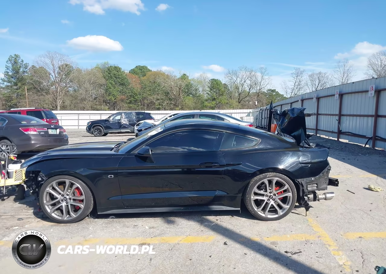 2017 Ford Mustang Gt VIN:1FA6P8CFXH5319527 - 14