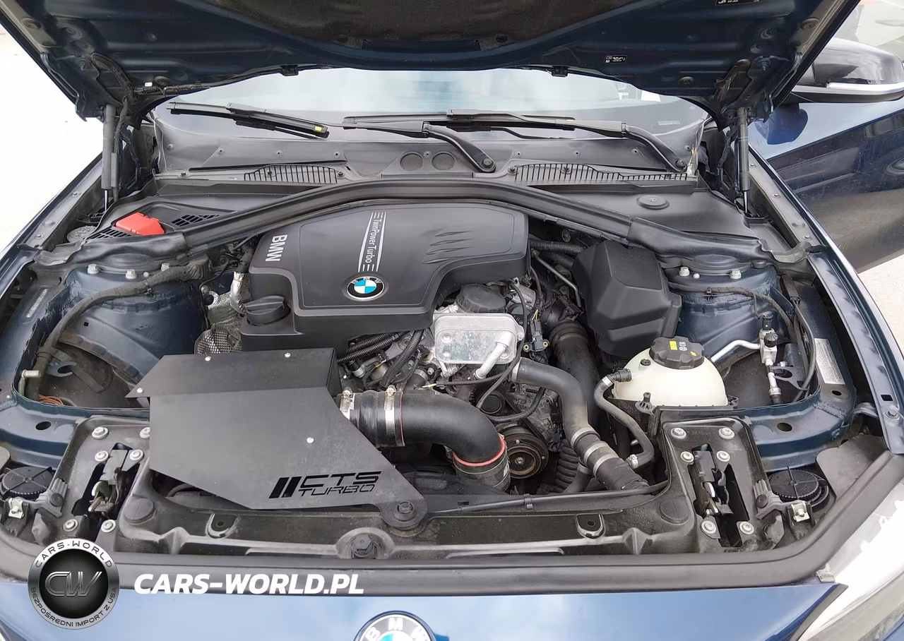 2016 BMW 228I xDrive VIN:WBA1G9C54GV599345 - 10