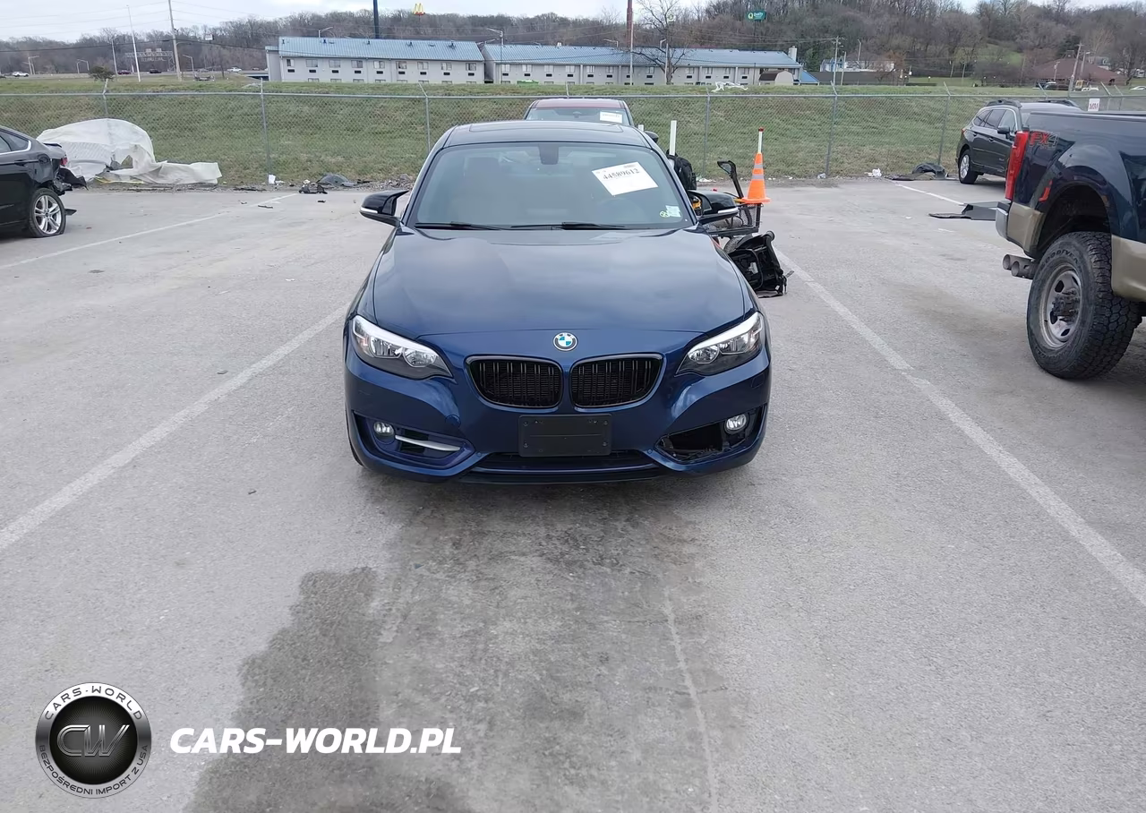 2016 BMW 228I xDrive VIN:WBA1G9C54GV599345 - 12
