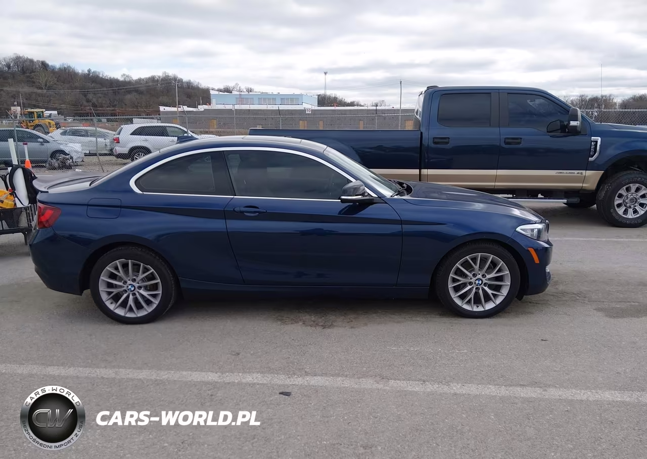 2016 BMW 228I xDrive VIN:WBA1G9C54GV599345 - 13