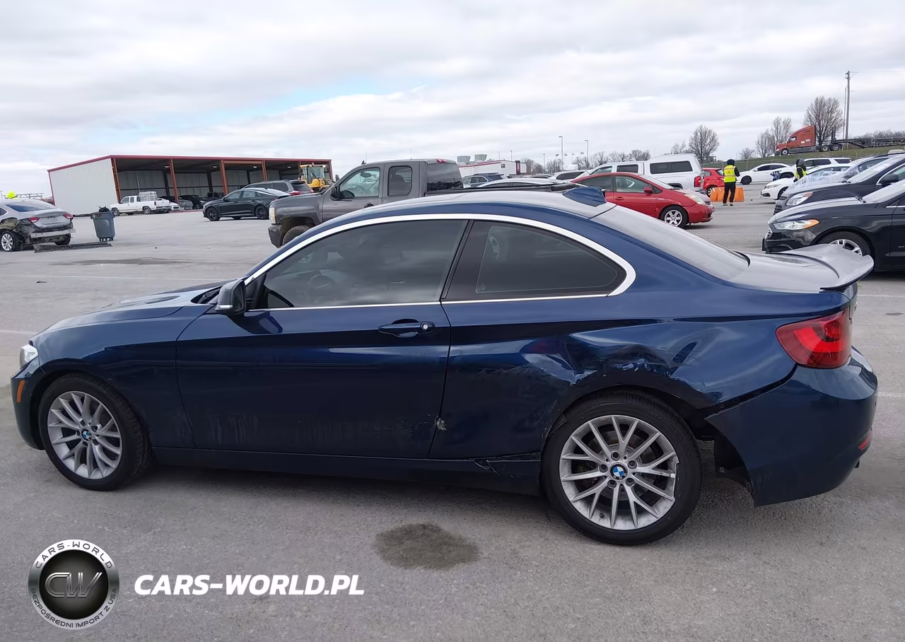 2016 BMW 228I xDrive VIN:WBA1G9C54GV599345 - 14