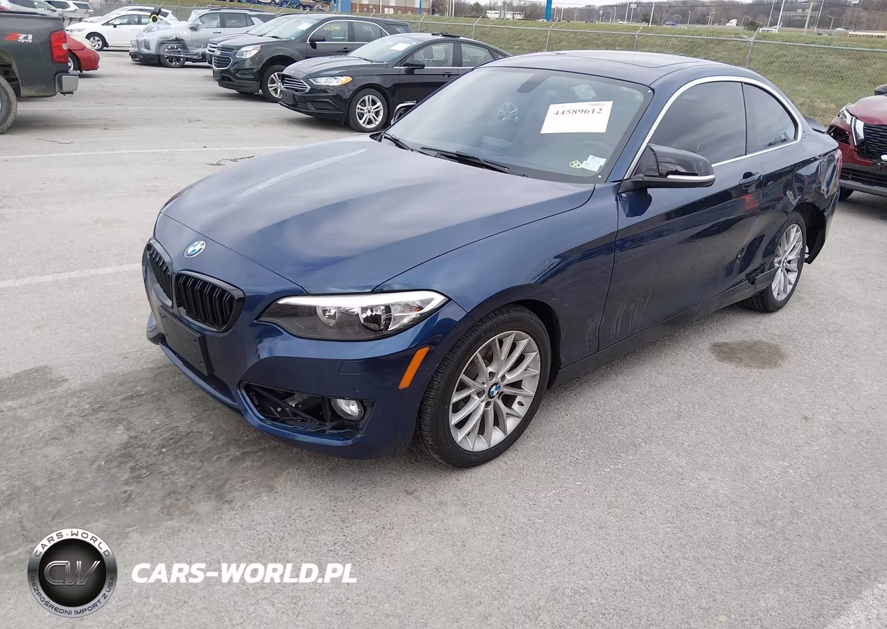 2016 BMW 228I xDrive VIN:WBA1G9C54GV599345 - 2