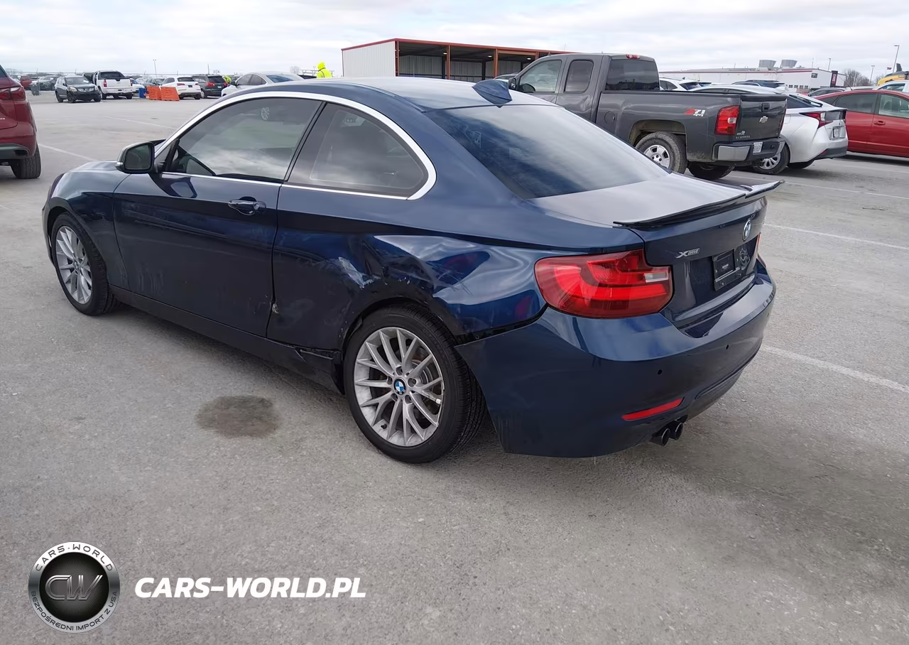 2016 BMW 228I xDrive VIN:WBA1G9C54GV599345 - 3