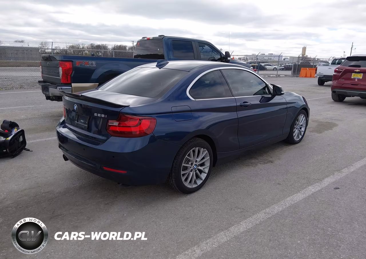 2016 BMW 228I xDrive VIN:WBA1G9C54GV599345 - 4