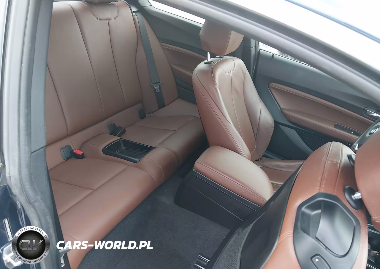 2016 BMW 228I xDrive VIN:WBA1G9C54GV599345 - 8