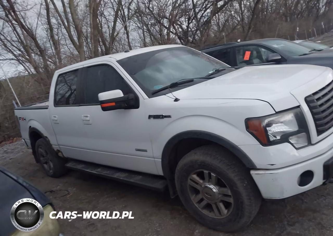 2011 Ford F-150 Fx4 VIN:1FTFW1ETXBFC87364 - 13