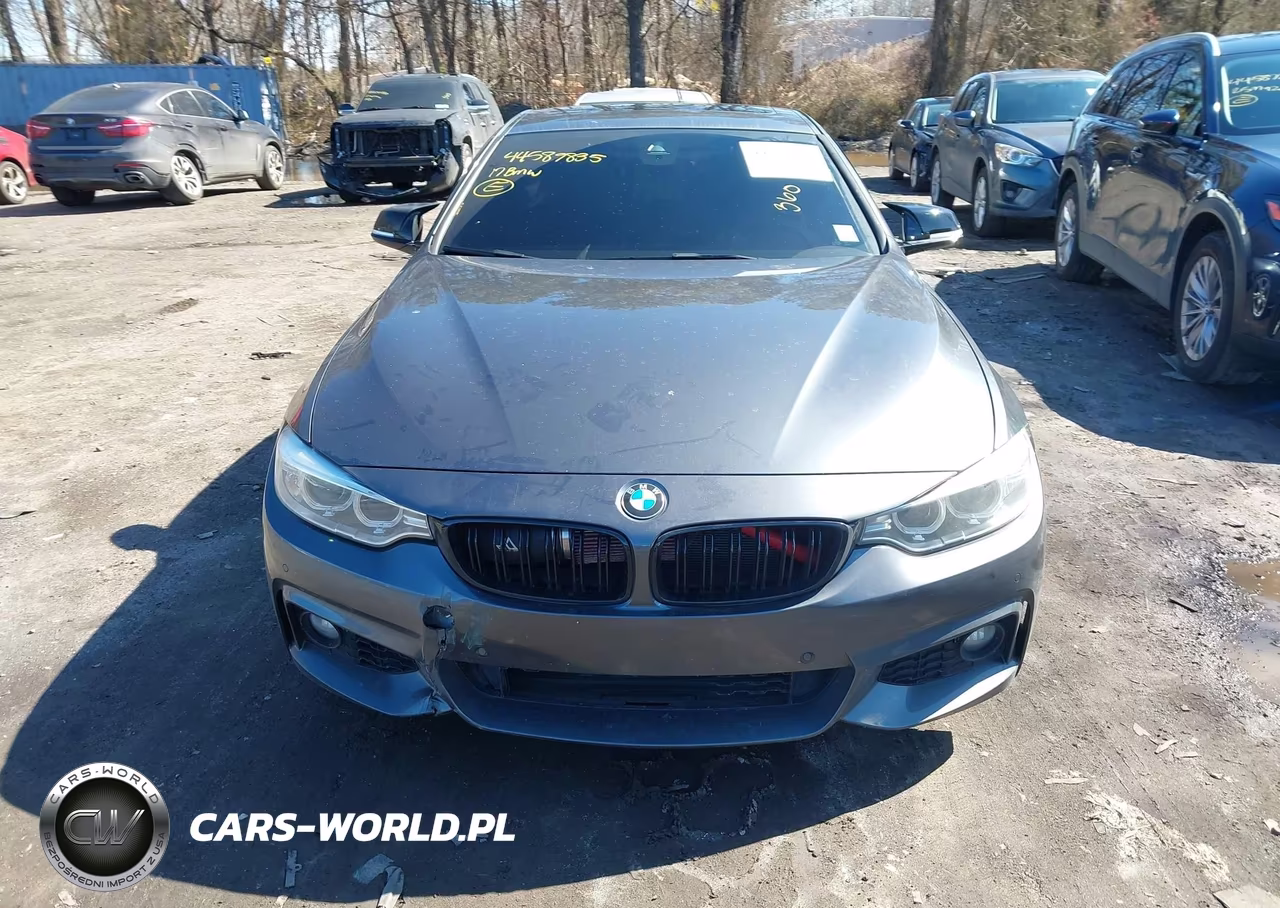 2017 BMW 440I VIN:WBA4P1C5XHK522271 - 12