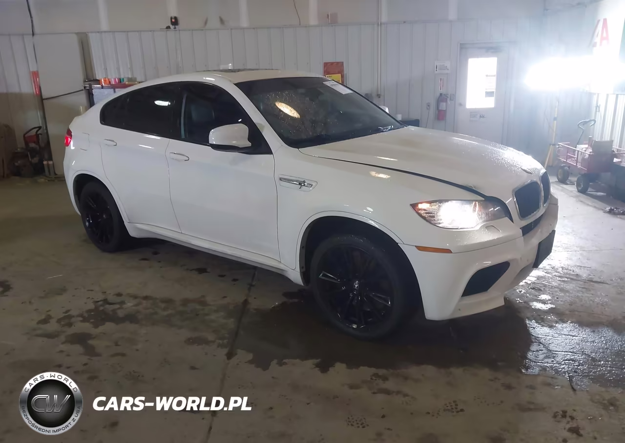 2010 BMW X6 M