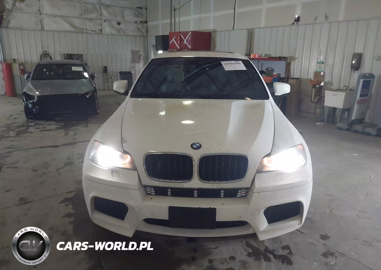 2010 BMW X6 M VIN:5YMGZ0C56ALK13263 - 12