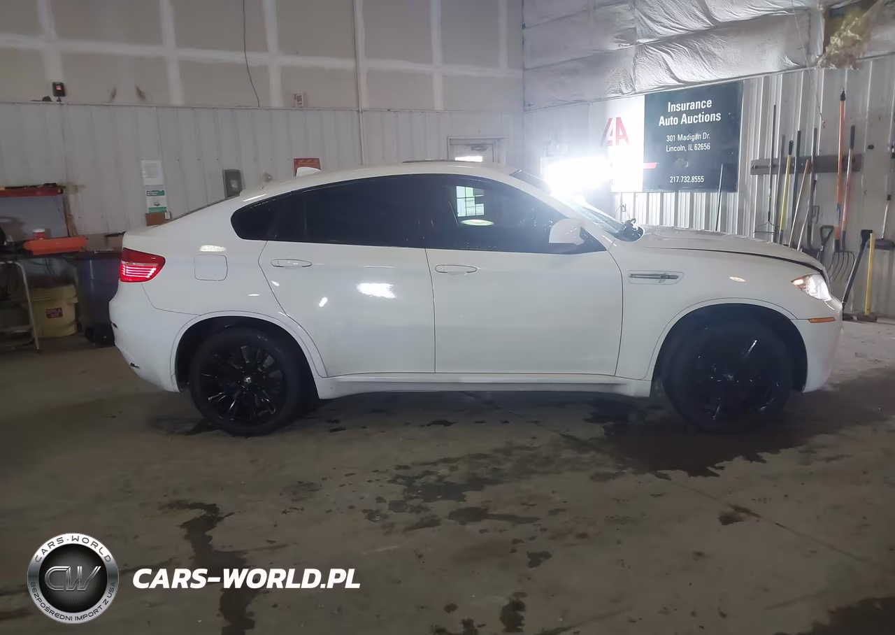 2010 BMW X6 M VIN:5YMGZ0C56ALK13263 - 13