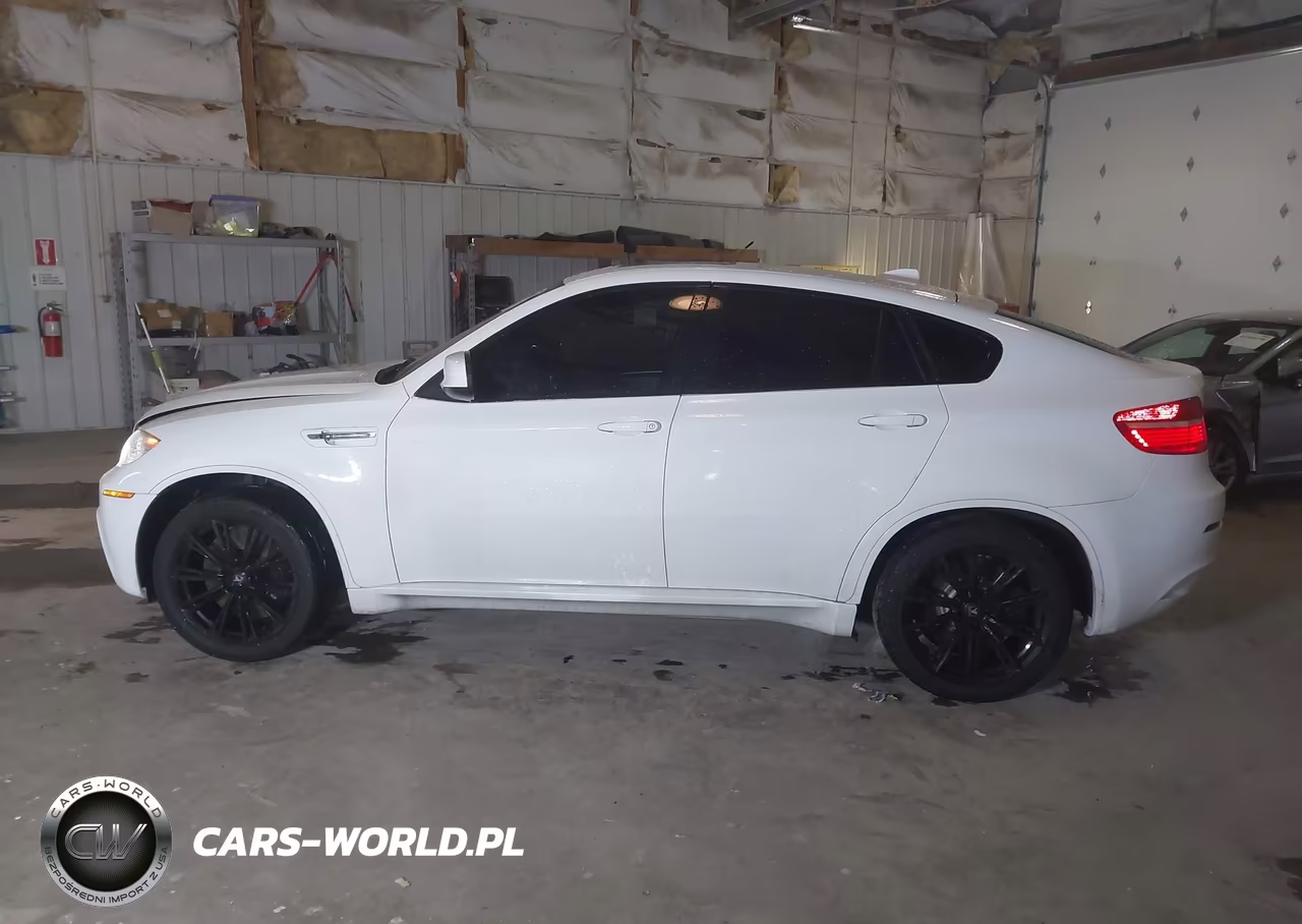 2010 BMW X6 M VIN:5YMGZ0C56ALK13263 - 14