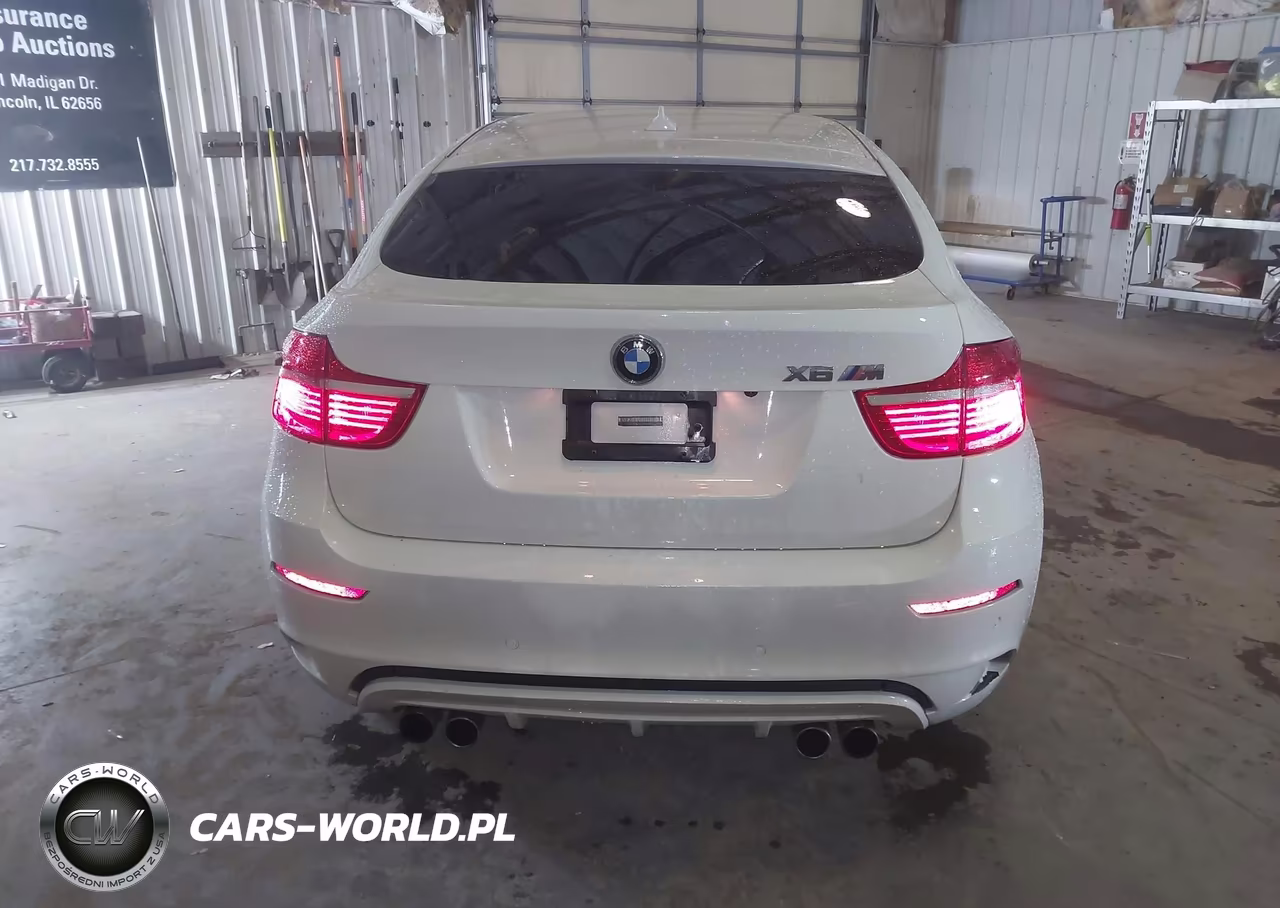 2010 BMW X6 M VIN:5YMGZ0C56ALK13263 - 16