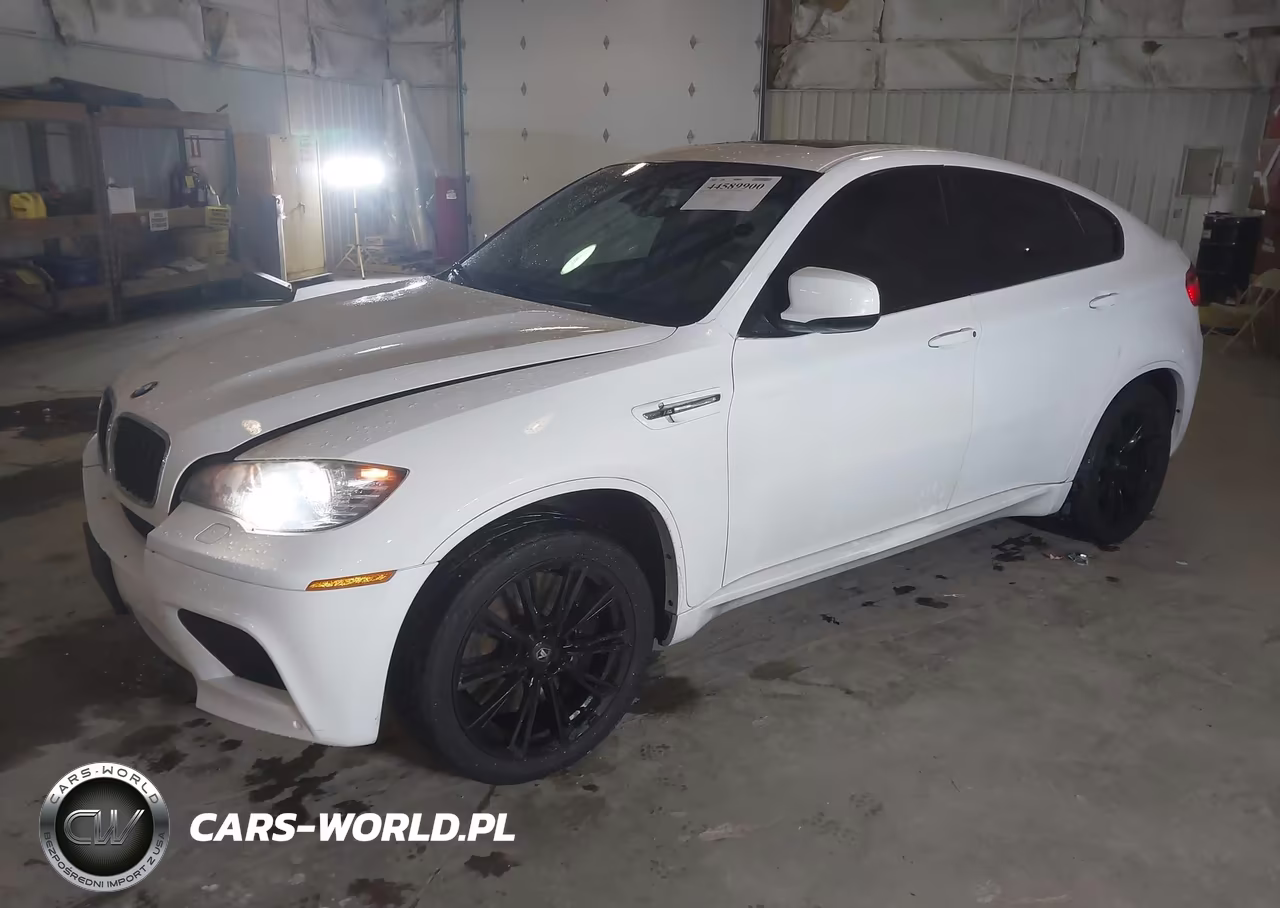 2010 BMW X6 M VIN:5YMGZ0C56ALK13263 - 2