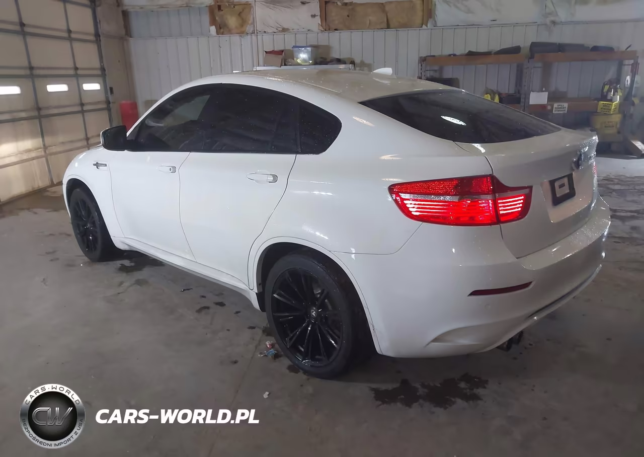 2010 BMW X6 M VIN:5YMGZ0C56ALK13263 - 3