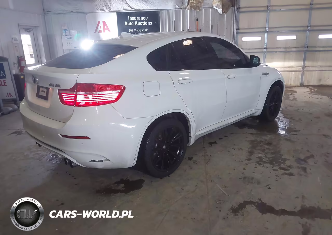 2010 BMW X6 M VIN:5YMGZ0C56ALK13263 - 4