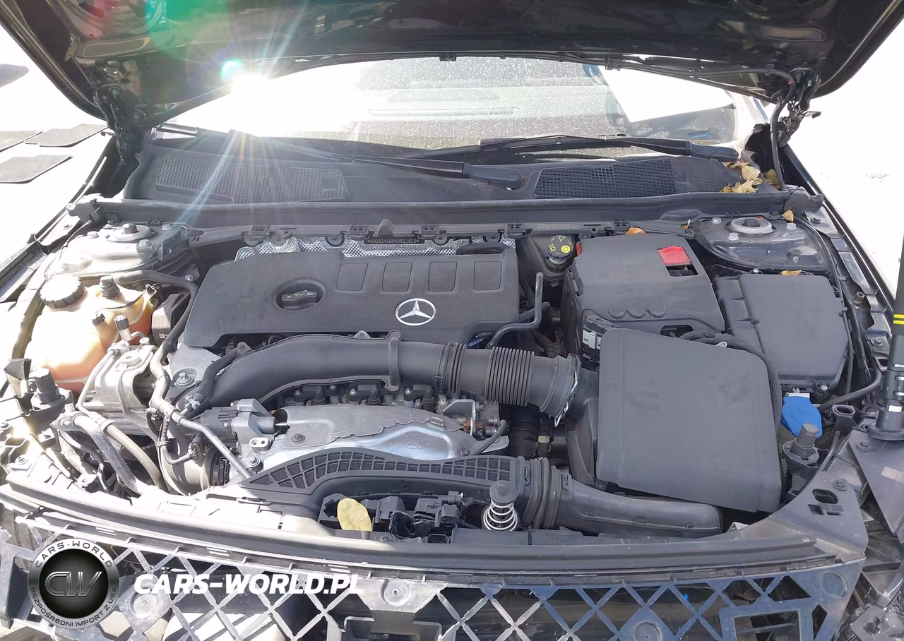 2019 Mercedes-Benz A 220 VIN:WDD3G4EB9KW031859 - 10