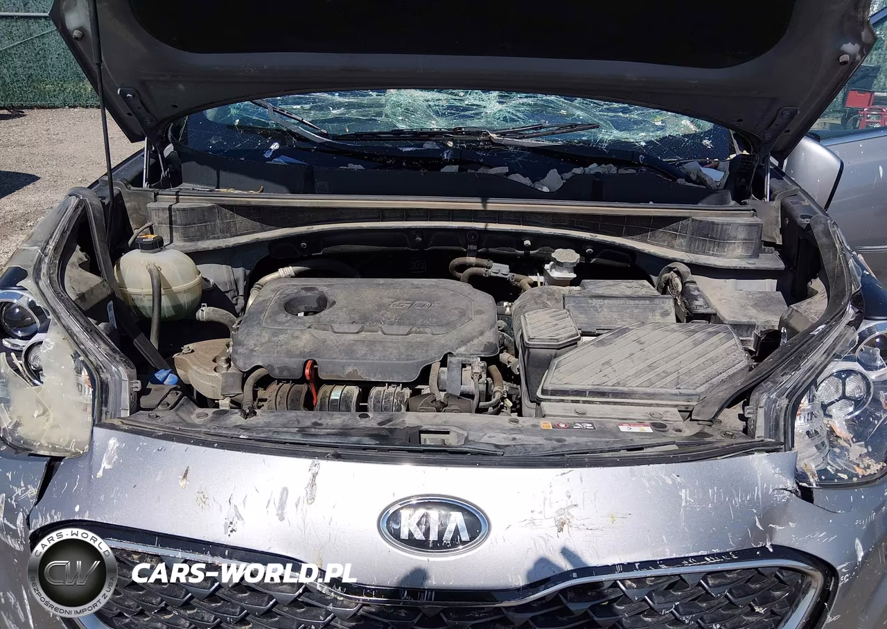 2020 Kia Sportage Ex VIN:KNDPN3AC5L7634023 - 10