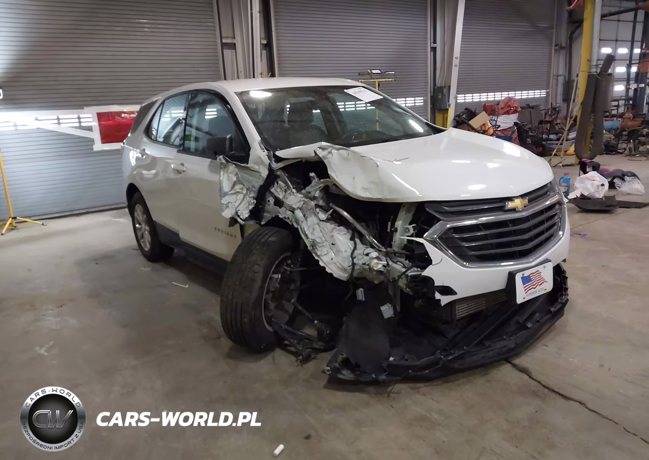 2019 Chevrolet Equinox Ls – zdjęcie 1 z 13