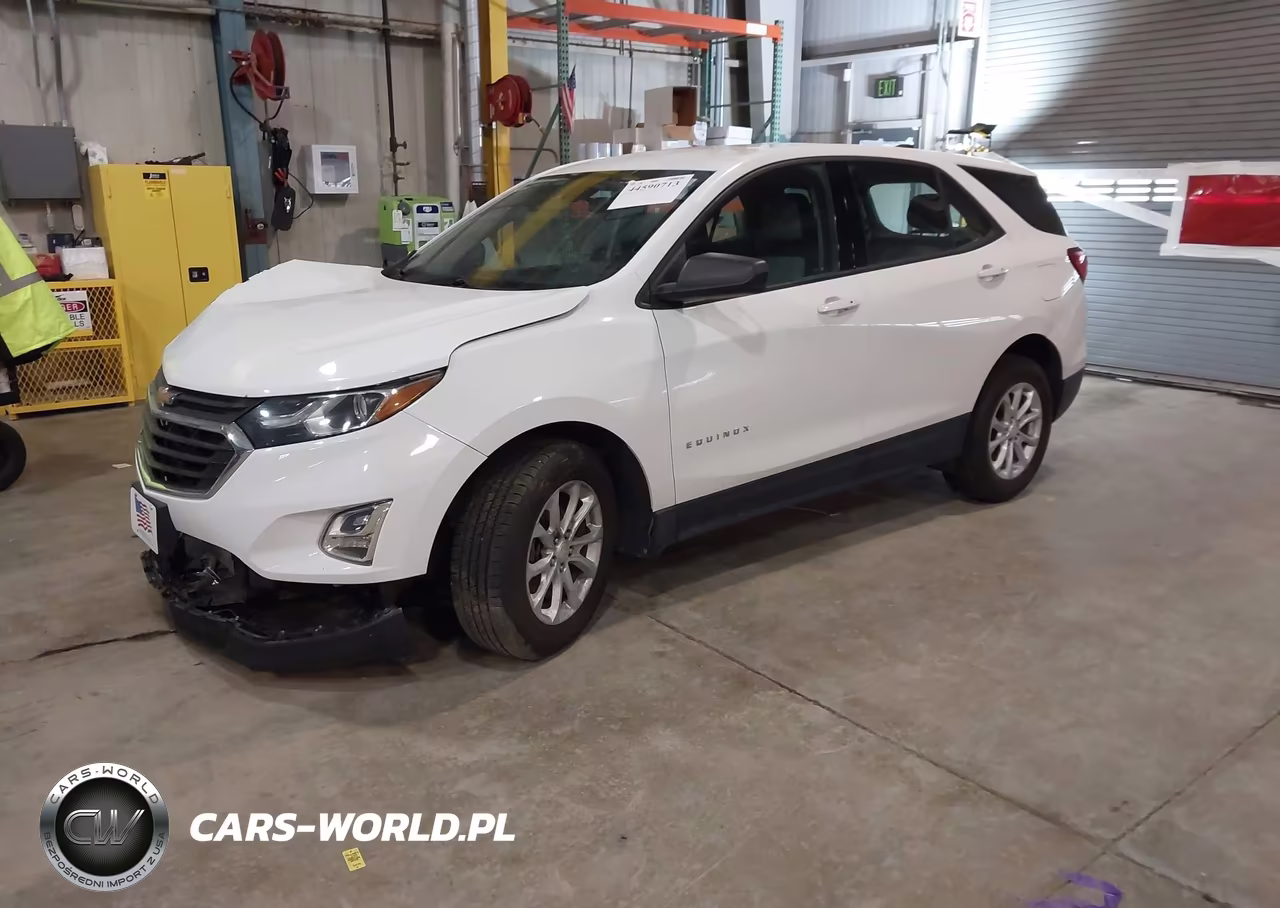 2019 Chevrolet Equinox Ls VIN:3GNAXSEV5KS627974 - 2