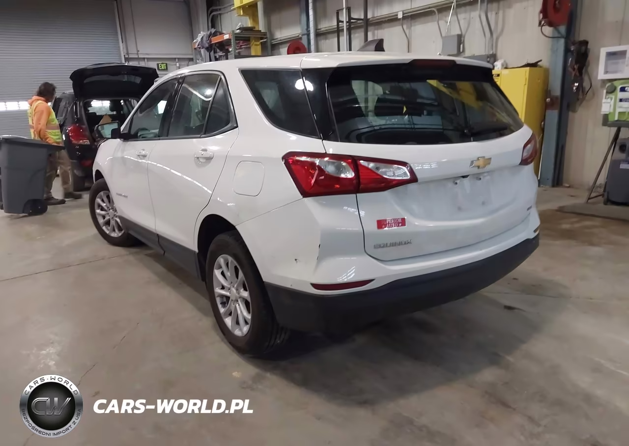 2019 Chevrolet Equinox Ls VIN:3GNAXSEV5KS627974 - 3