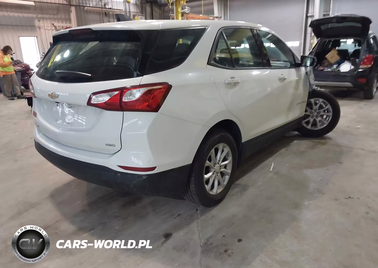 2019 Chevrolet Equinox Ls VIN:3GNAXSEV5KS627974 - 4
