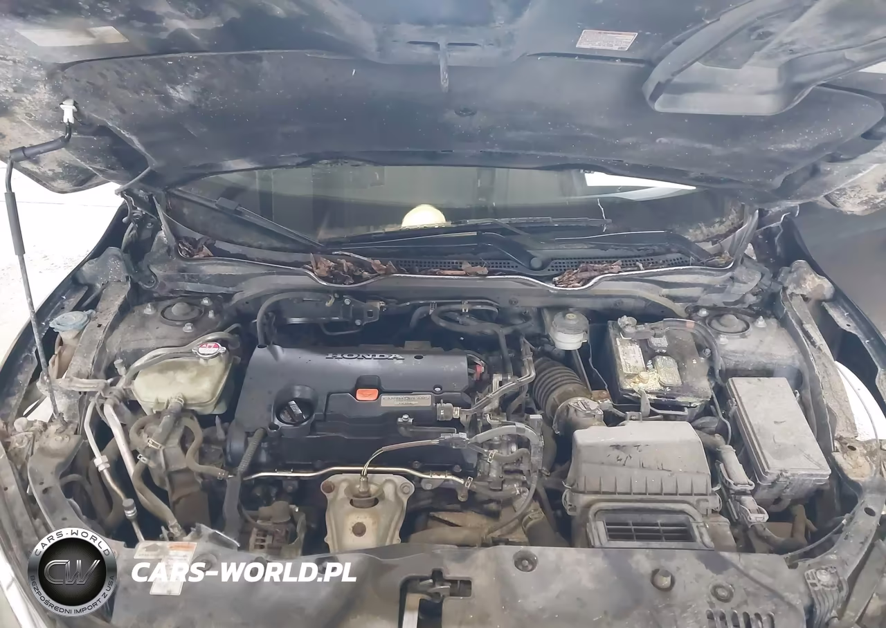 2016 Honda Civic Lx VIN:19XFC2F52GE036922 - 10