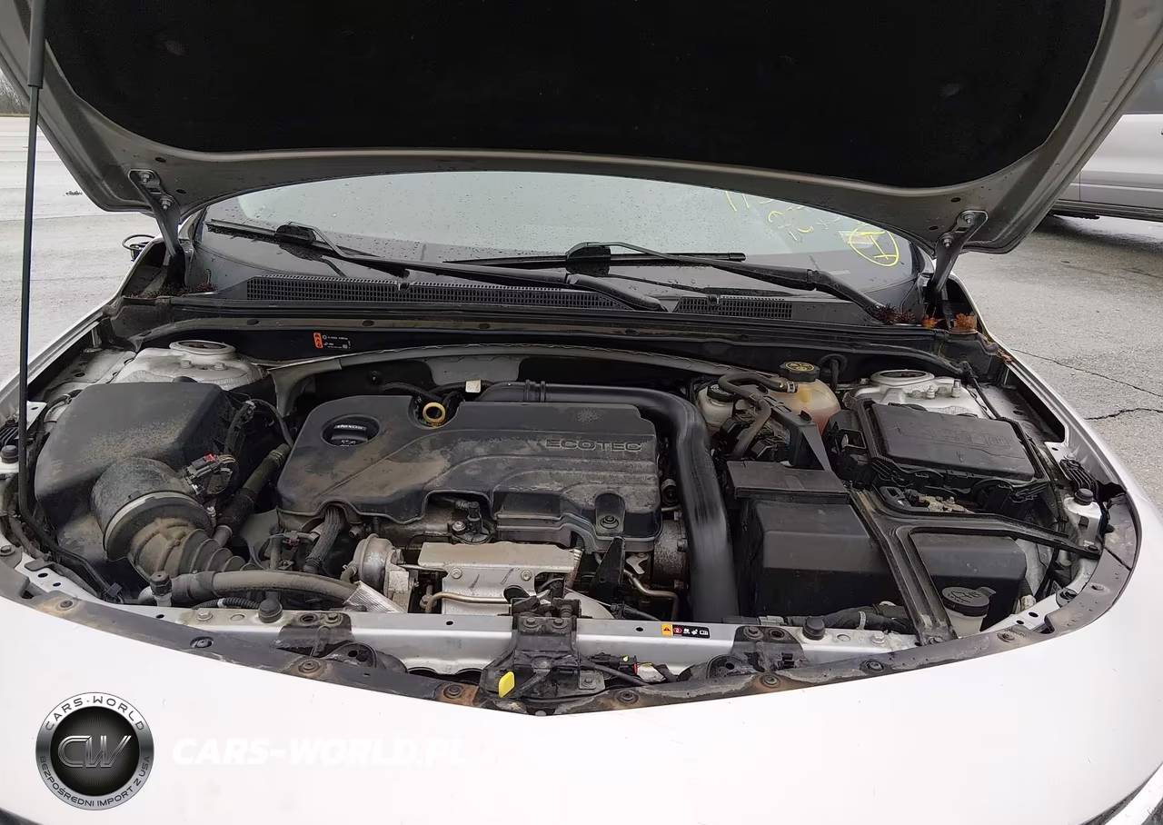 2019 Chevrolet Malibu 1Fl VIN:1G1ZC5ST5KF176537 - 10