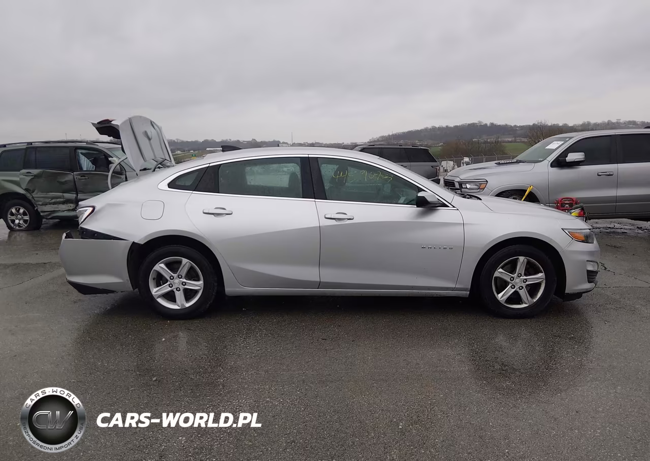 2019 Chevrolet Malibu 1Fl VIN:1G1ZC5ST5KF176537 - 13