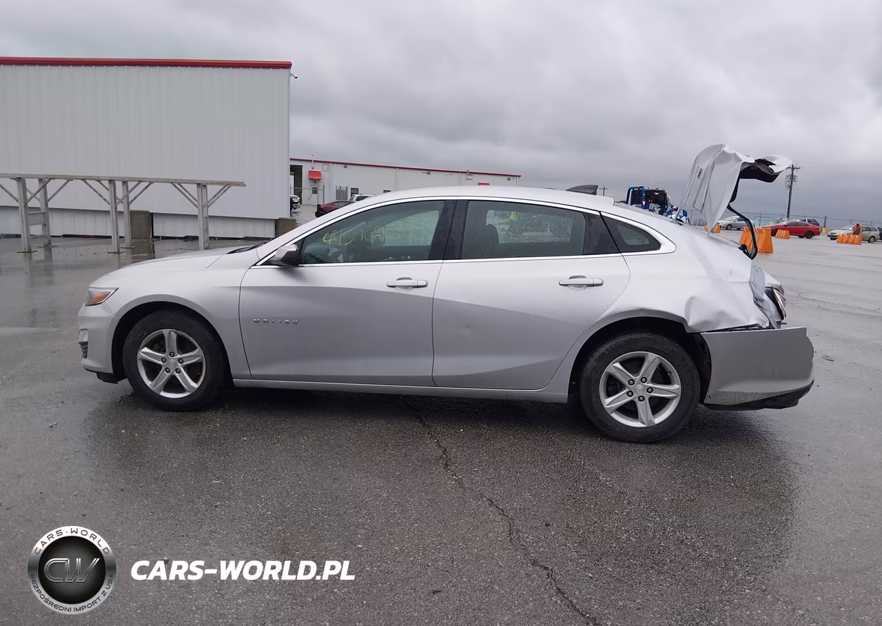 2019 Chevrolet Malibu 1Fl VIN:1G1ZC5ST5KF176537 - 14