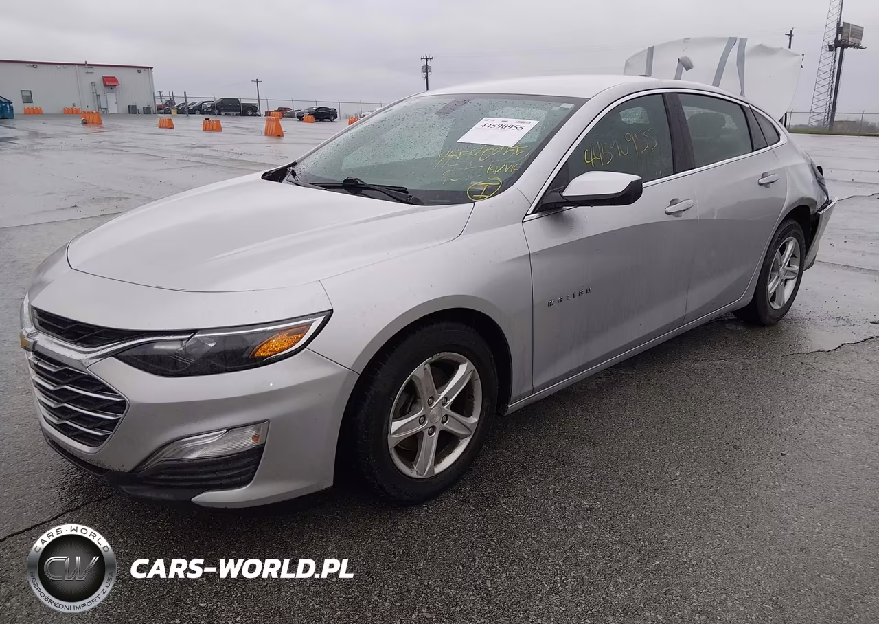 2019 Chevrolet Malibu 1Fl VIN:1G1ZC5ST5KF176537 - 2