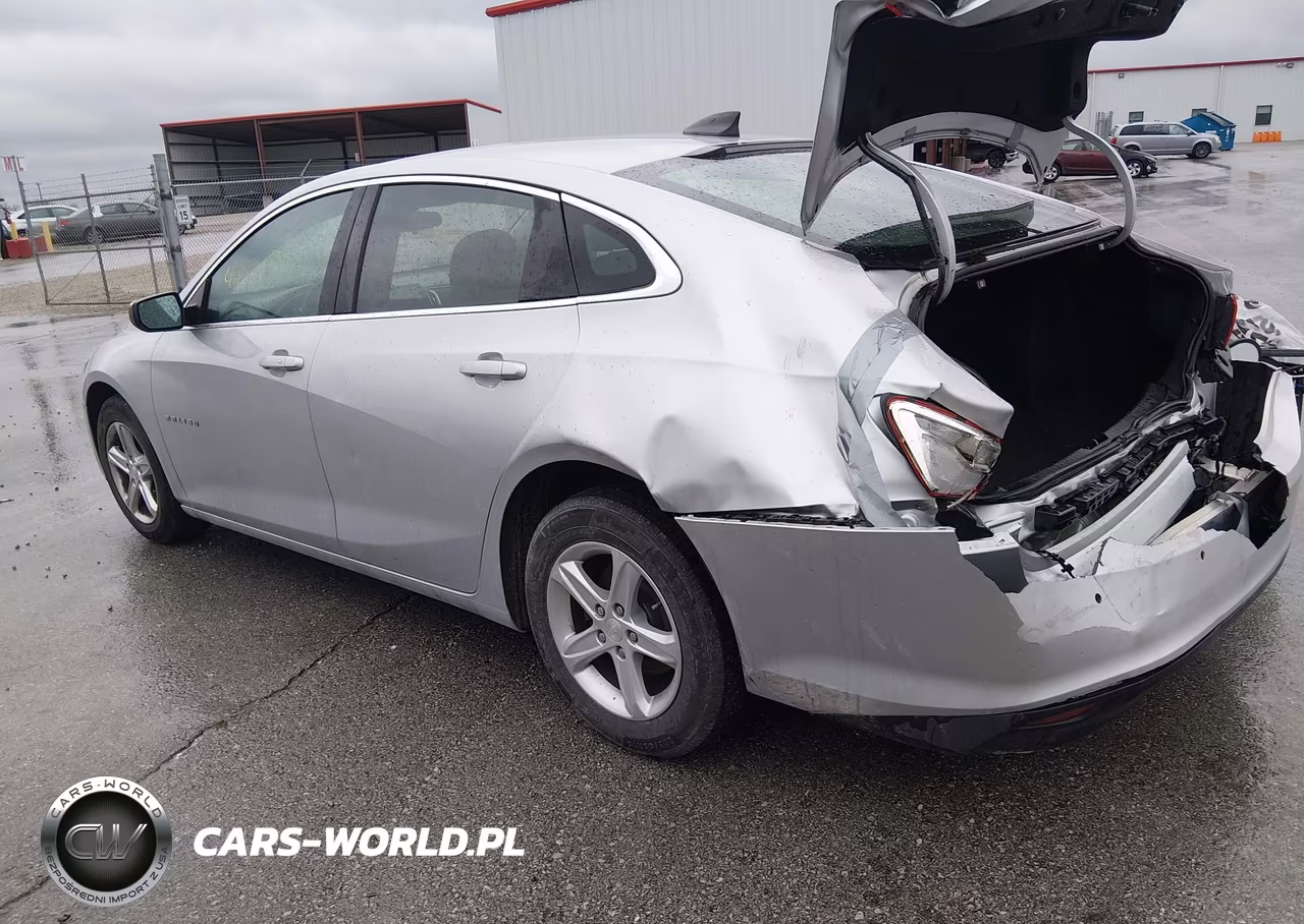 2019 Chevrolet Malibu 1Fl VIN:1G1ZC5ST5KF176537 - 3