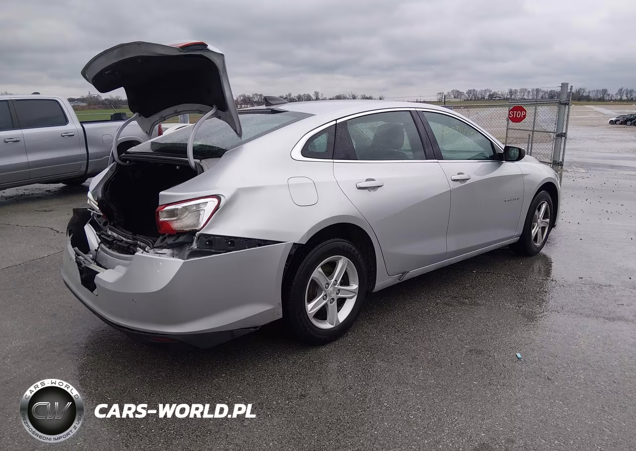 2019 Chevrolet Malibu 1Fl VIN:1G1ZC5ST5KF176537 - 4