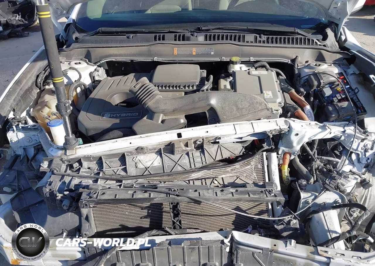 2017 Ford Fusion Hybrid Se VIN:3FA6P0LU8HR250138 - 10